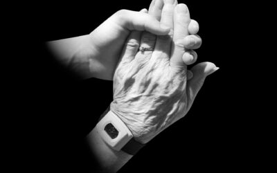 Comprehensive Guide to Elder Care Solutions: Navigating Options for Senior Well-being
